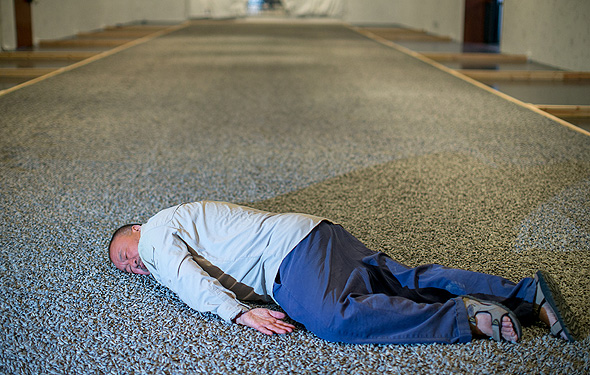 איי ווייוויי השבוע במוזיאון ישראל, משחזר את תמונת גופת הילד הכורדי המפורסמת, על גבי מיצב מ־23 טון זרעי חמניות מפוסלים