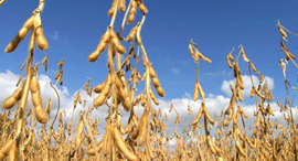 צילום: בלומברג