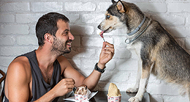 Lemonade is now offering insurance for pets. Photo: Yonatan Ben-Haim