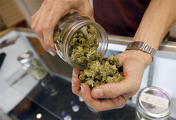 Medical cannabis. Photo: Getty Images