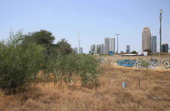 מגרש תע"ש בצפון יגאל אלון. מי ירוויח מההשבחה, היזם או העירייה?, צילום: אוראל כהן