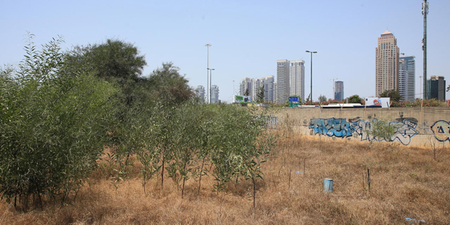 תל אביב: מכרזי יגאל אלון יסמנו את עתיד שוק המגדלים