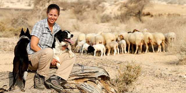 לא רועה ממטר: הישראלית שרוצה להיות אלופת העולם ברעיית כבשים