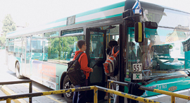 A bus. Photo: Nimrod Glickman