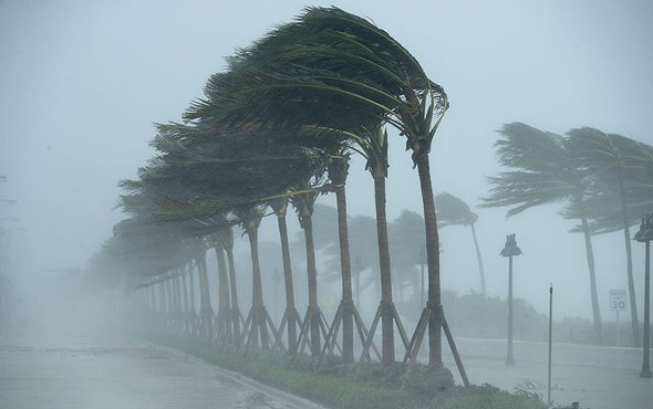 הוריקן אירמה מגיע לפלורידה 