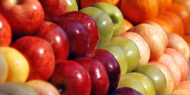משרד החקלאות מנסה להוריד את מחיר תפוחי העץ לקראת ראש השנה