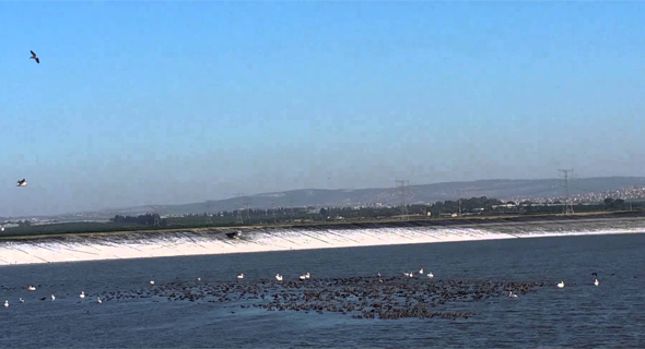 אחד מאגמי עמק חפר