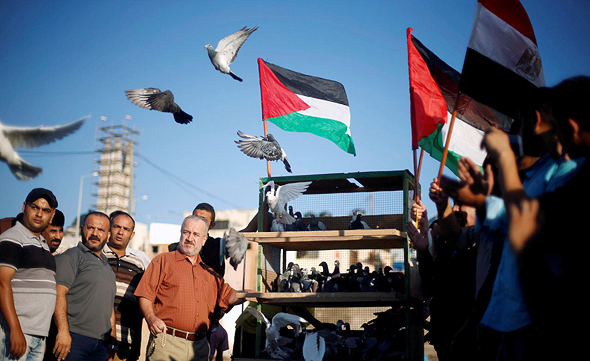 פלסטינים ברצועת עזה משחררים יונים בעקבות ההצהרה על פיוס בין חמאס ל פתח, צילום: רויטרס