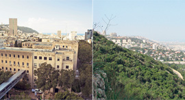 חיפה מול נשר , צילום: חנה יריב, ויקפדיה