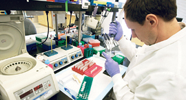 Genetic research (illustration). Photo: Bloomberg