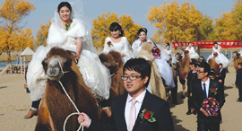 13.12.17 זוגות טריים בחתונת המונים במחוז שינג'יאנג סין, צילום: רויטרס