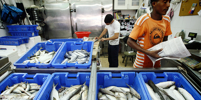 הפחתת המכסים על יבוא דגי מאכל נדחתה בשנה