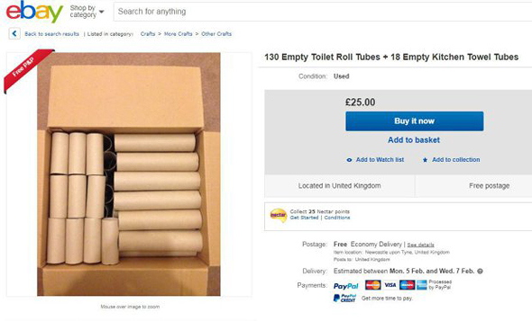 גלילי נייר טואלט למכירה איביי 1, צילום: Ebay