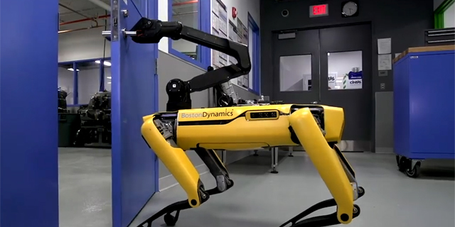 אפוקליפסה חמודה: צפו ברובוט הכלבלבי שפותח דלתות