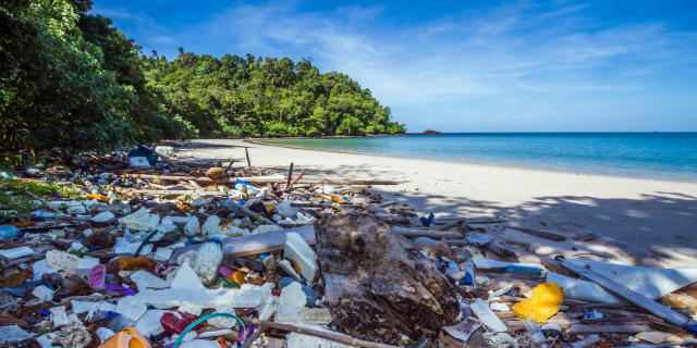 לידיעת הנוסעים לתאילנד: מאיה ביי בקו פי פי נסגר בגלל זיהום החופים