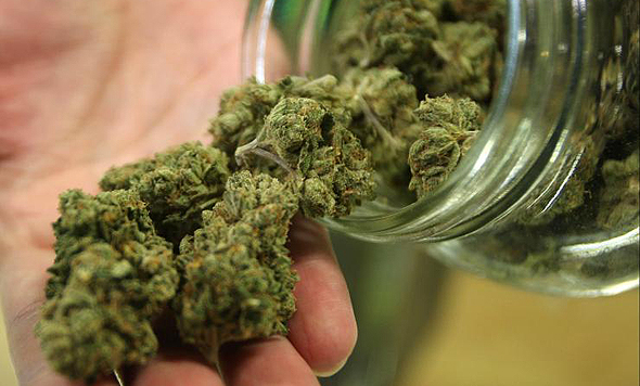 Medical cannabis. Photo: Getty Images Medical cannabis. Photo: Getty Images