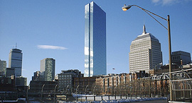 Boston. Photo: sea turtle