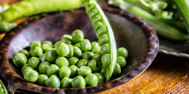 Roquette produces new plant-based proteins from peas and fava beans