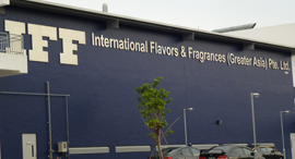 מפעל IFF בסינגפור , צילום: felicianeo