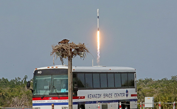 שיגור הפלקון 9, צילום: TNS