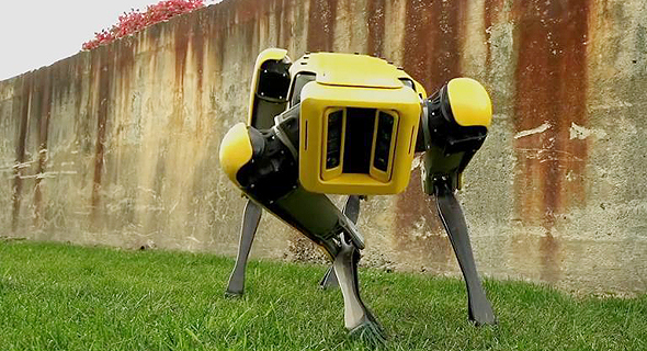רובוט כלב ספוט של בוסטון דיינמיקס