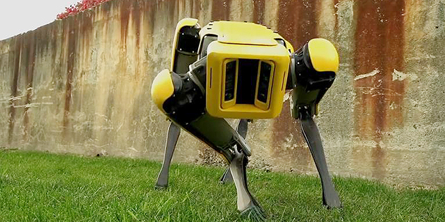 תתכוננו: הכלב הבא שלכם יהיה רובוט