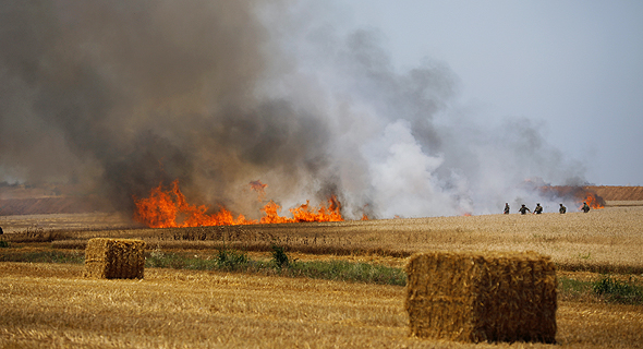 שריפה בשדות חיטה בעוטף עזה , צילום: רויטרס