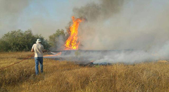 השריפה בשמורת נחל הבשור, צילום: גלעד גבאי רשות הטבע והגנים