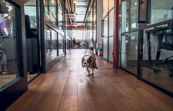 A MindSpace office space in Tel Aviv. Photo: Amit Sha'al