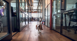 A MindSpace office space in Tel Aviv. Photo: Amit Sha'al
