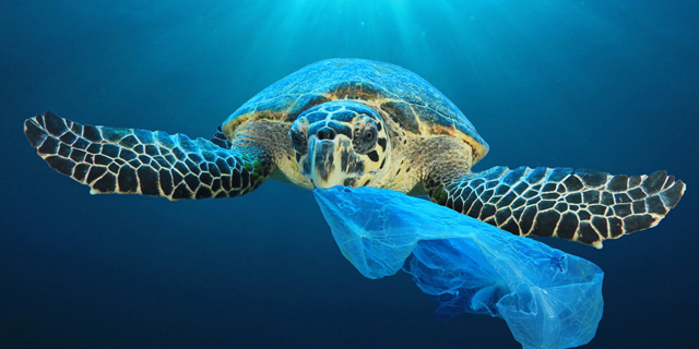 האיחוד האירופי פועל לאסור שימוש במוצרי פלסטיק חד-פעמיים