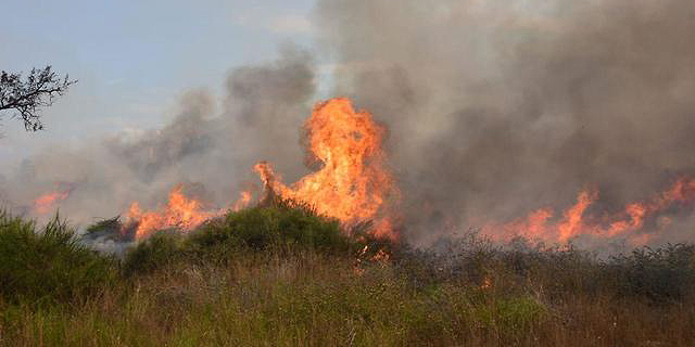 25 שריפות בעוטף עזה; בלון תבערה נחת בבית