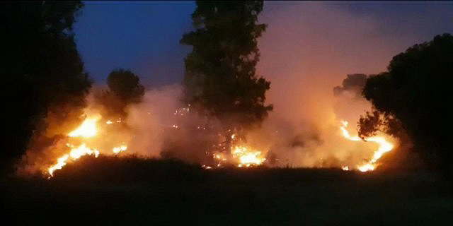 טרור העפיפונים: שריפה גדולה ביער שוקדה