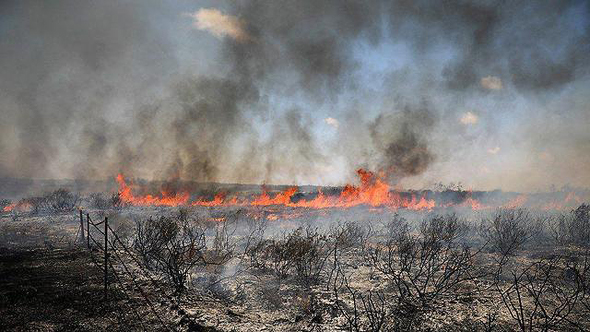 שריפה באזור עוטף עזה, בחודש יוני השנה, צילום: רויטרס