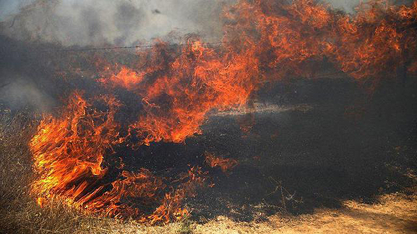 שריפה בעוטף עזה, צילום: רויטרס