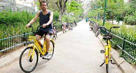 Ofo bikes in Israel. Photo: Shaul Golan
