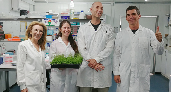 PlantArcBio's Dror Shalitin (from right), Noam Grimberg, Arava Shatil, and Aviva Katz. Photo: PR