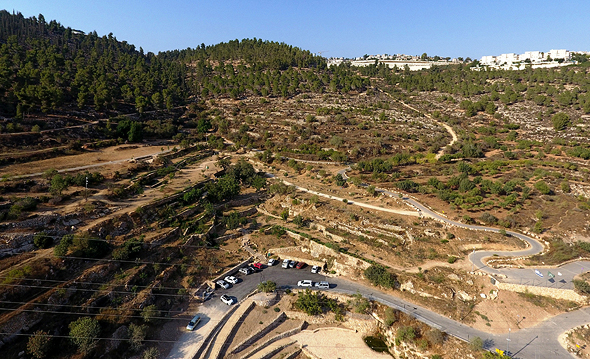 רכס לבן בהרי ירושלים, צילום: דב גרינבלט - החברה להגנת הטבע