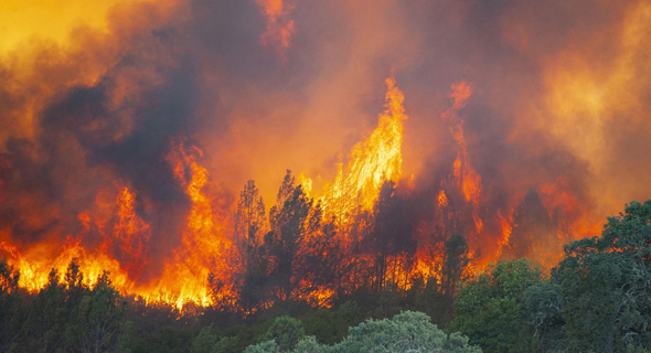 שריפת ענק בצפון קליפורניה