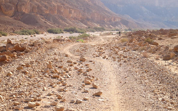 Founding a startup is like embarking on a journey. Photo: Israel Land Authority
