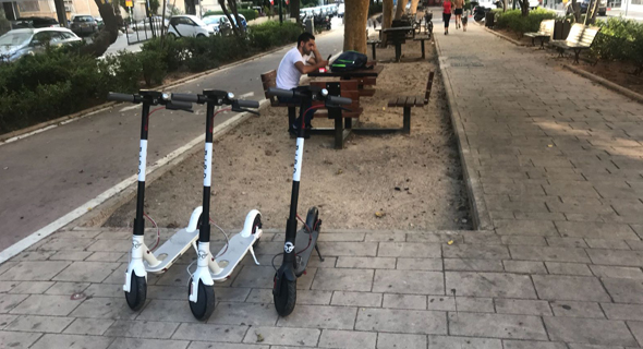 Bird e-scooters in Tel Aviv's Rothschild Boulevard. Photo: PR