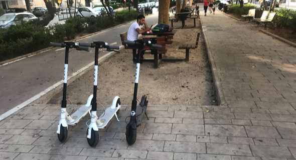 Bird e-scooters in Tel Aviv's Rothschild Boulevard. Photo: PR Bird e-scooters in Tel Aviv's Rothschild Boulevard. Photo: PR