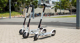 Bird electric scooters in Tel Aviv. Photo: Yanai Menahem