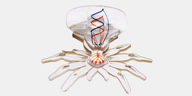 חוקרים מהרווארד חשפו רובוט-עכביש שינתח פציינטים מתוך הגוף