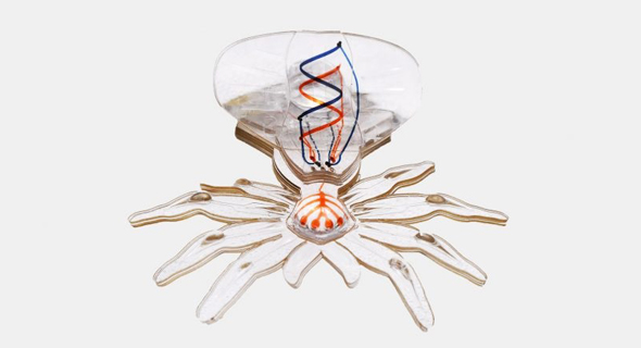 רובוט עכביש, מנתח מוסמך, צילום: Harvard University 