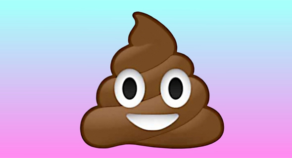 Poop (illustration)