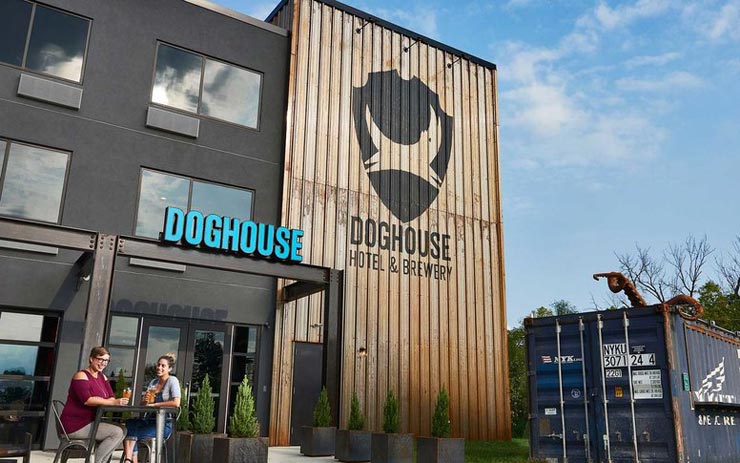 מלון הבירה Doghouse שנפתח באוהיו, צילום: Doghouse