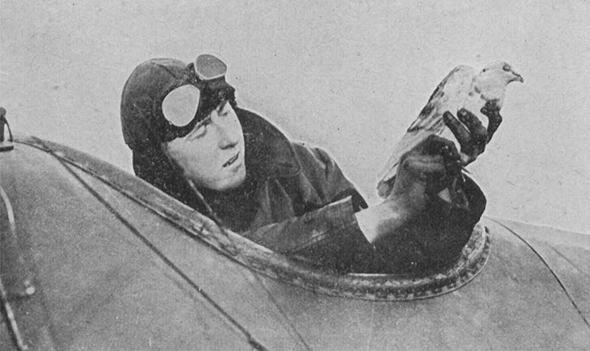יונה משולחת ממטוס במלחמת העולם הראשונה