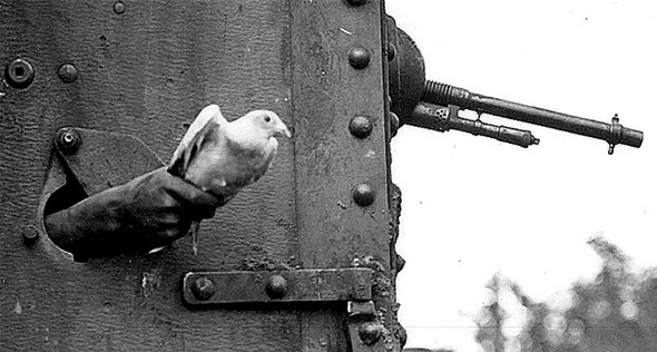 יונה משולחת מחרך ירי של טנק במלחמת העולם הראשונה