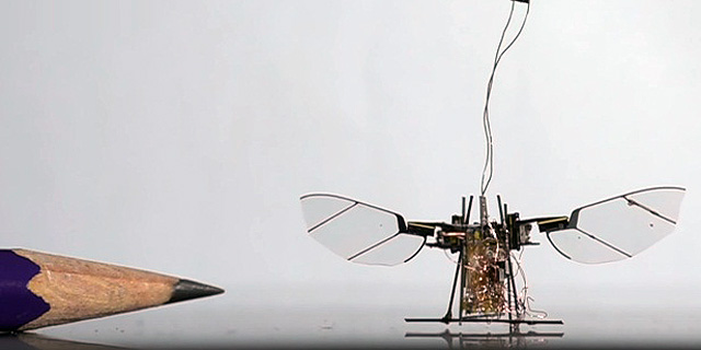 הכירו את הזבוב הרובוטי, מיקרו-רחפן שיוכל להציל חיים